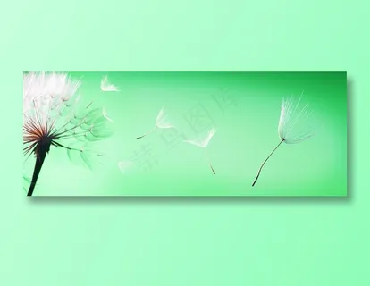 绿色背景上被风吹散的蒲公英高清图片