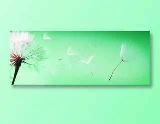 绿色背景上被风吹散的蒲公英高清图片