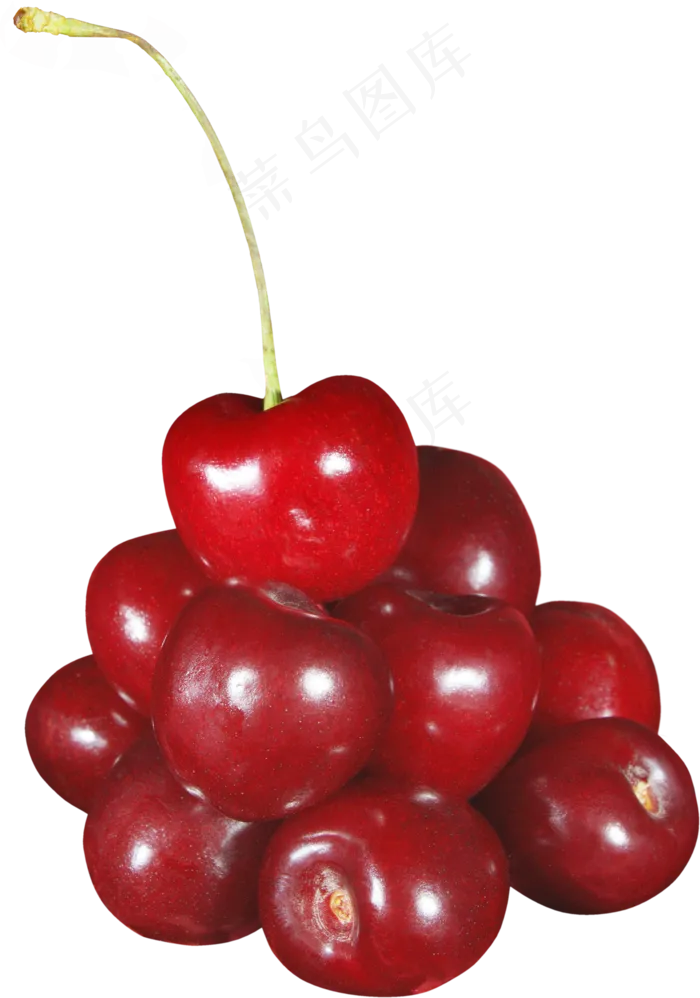樱桃免抠素材 (28)