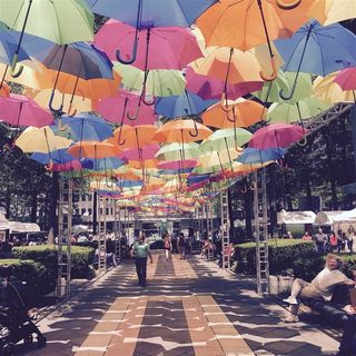 挂在空中的雨伞