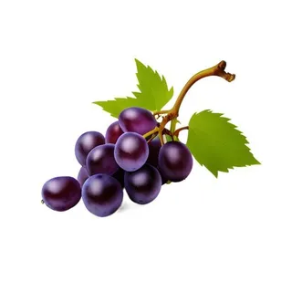 葡萄水果免抠 葡萄水果免抠