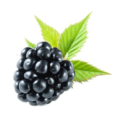 黑莓 PNG免抠(400x400)