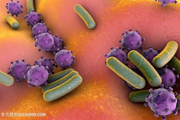细菌病毒生物研究高清