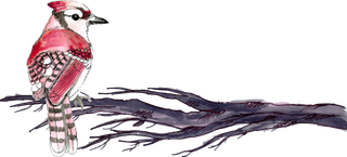 简约风手绘素描动画小鸟鸟儿免扣PNG图片素材 (69)