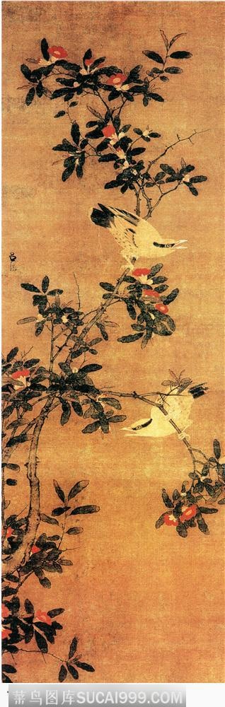 花鸟篇-枝上合鸣的鸟雀