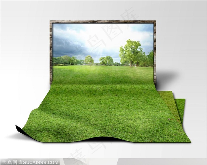 草皮高清图片