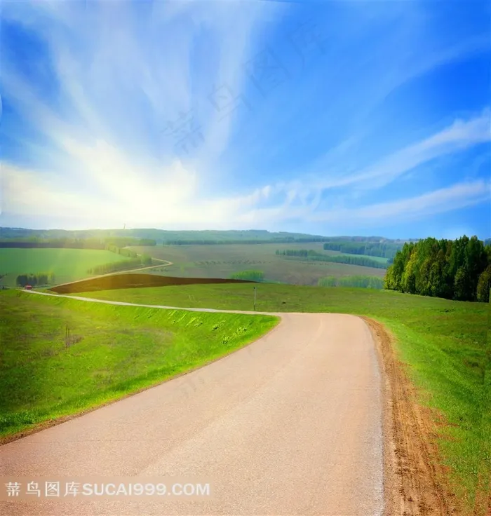 阳光照耀的草地风景图片