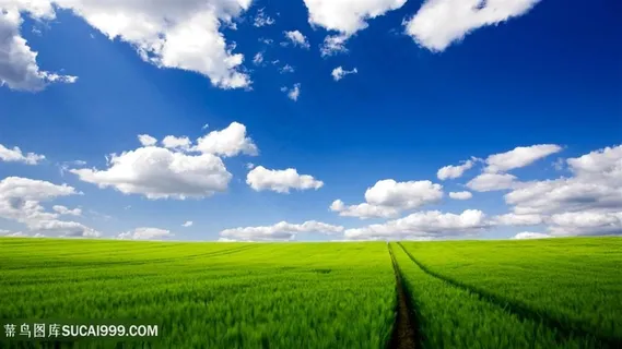 蓝天白云草地风景画壁纸 蓝天白云草地风景画壁纸