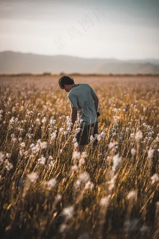 蒲公英花海帅哥背影图片