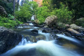 树林里的小瀑布风景图片