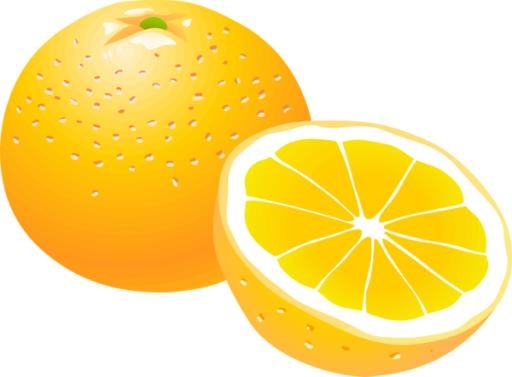 橙色PNG图像，免费下载免抠(600x442)