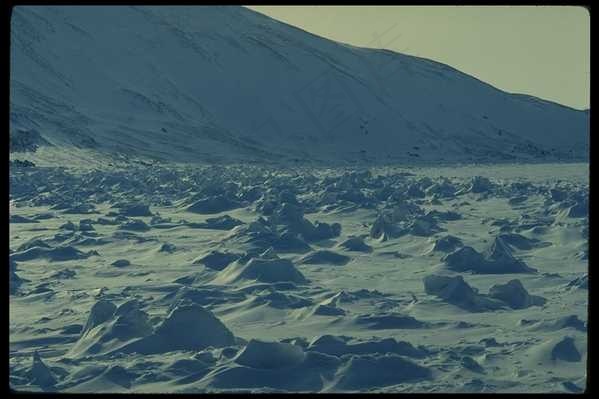冰天雪地 508