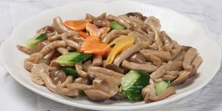 51 养生长寿菌 汇源饺子城