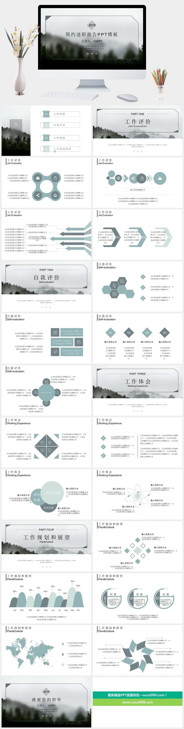 淡雅朦胧述职报告PPT模板