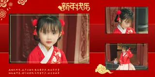 红色中国风喜庆春节画册单页