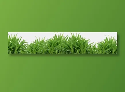 草地免扣png  草地免扣png