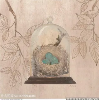 欧式花鸟装饰画