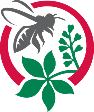 苍蝇植物现代农业