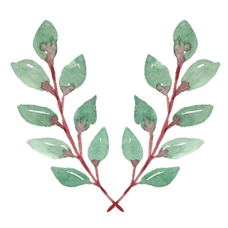 唯美森系手绘水彩花朵 免抠