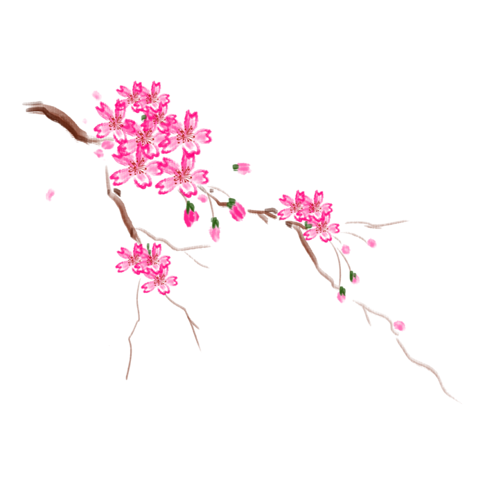 春天浪漫粉红色樱花手绘樱花梅花桃花花朵图片PNG免扣素材