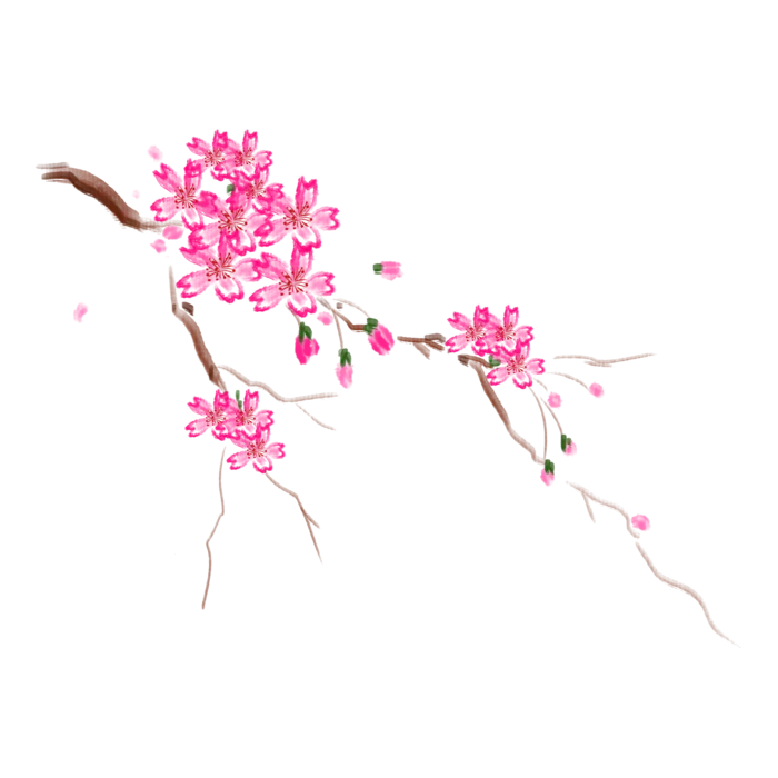 春天浪漫粉红色樱花手绘樱花梅花桃花花朵图片PNG免扣素材