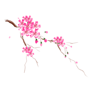 春天浪漫粉红色樱花手绘樱花梅花桃花花朵图片PNG免扣素材