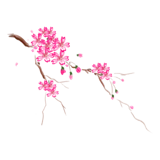 春天浪漫粉红色樱花手绘樱花梅花桃花花朵图片PNG免扣素材