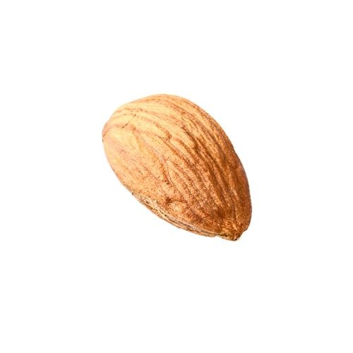 杏仁 PNG免抠(500x500)
