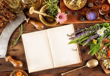 中药药材种类高清素材