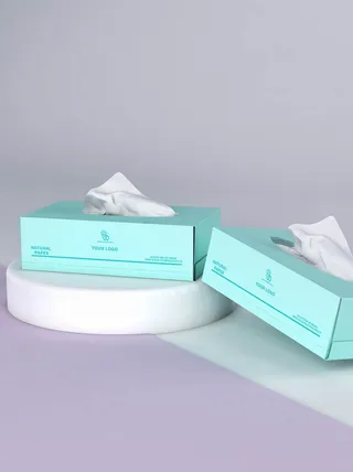 包装智能贴图样机VI效果PSD素材