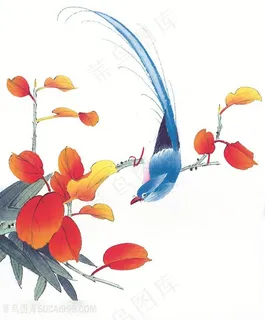 时尚树枝鸟艺术装饰画 时尚树枝鸟艺术装饰画