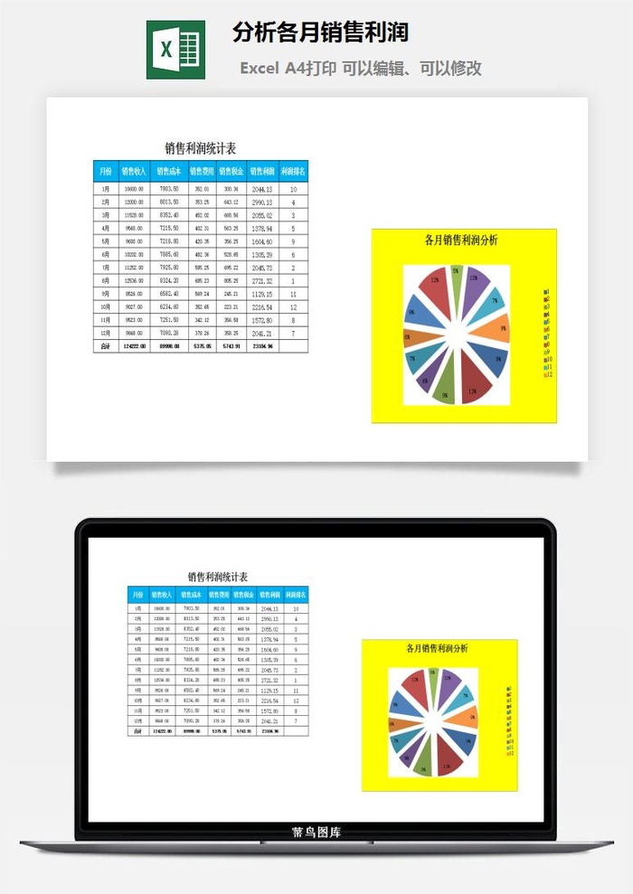 分析各月销售利润excel模板