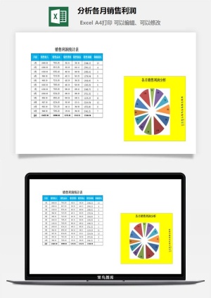 分析各月销售利润excel模板预览图