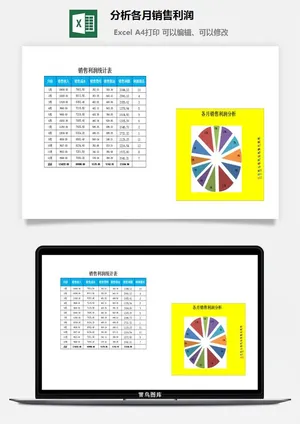 分析各月销售利润excel模板预览图
