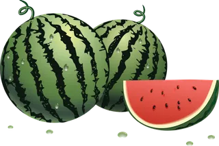 西瓜实物图免抠