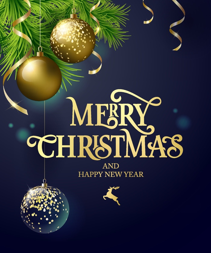 圣诞节圣诞树圣诞老人闪亮装饰电商促销折扣海报