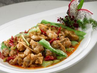 CXC06283小椒牛蛙