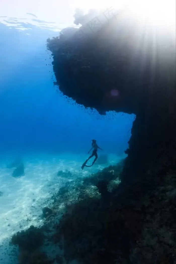 海中的美人鱼
