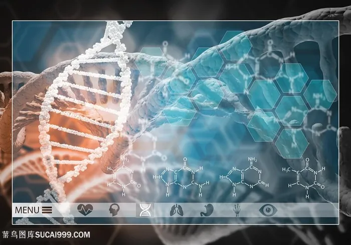 生物科学图片