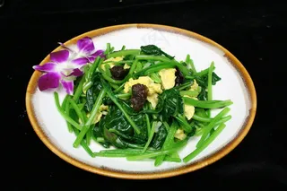 0776嫩炒菠菜