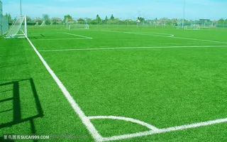 足球场摄影
