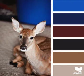 冬天系配色色卡色彩搭配