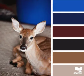 冬天系配色色卡色彩搭配 冬天系配色色卡色彩搭配