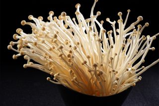 蘑菇香菇金针菇杂菇菌类美食素菜