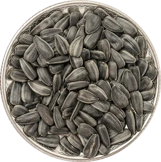 02_Sunflower Seeds