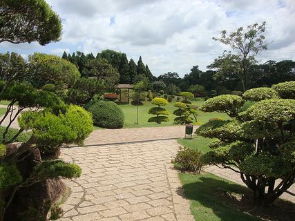 风景 天空 旅行美丽 (292)