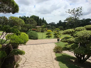 风景 天空 旅行美丽 (292)