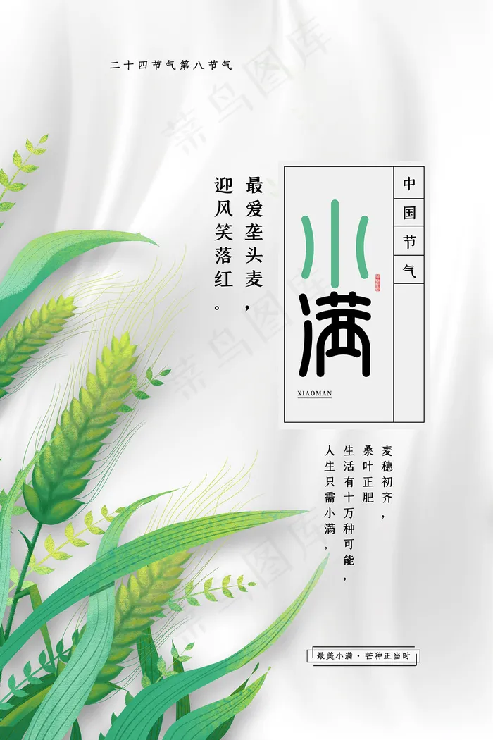 手绘24传统节气小满节日海报