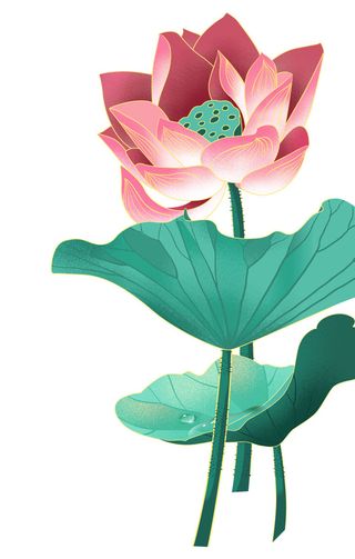 国潮中国风手绘荷花莲花荷叶莲藕植物花卉装饰插画PSD设计素材