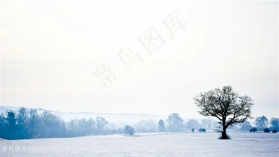 冬季美景壁纸 冬季美景壁纸